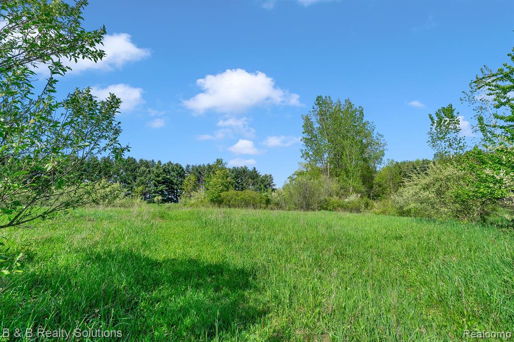 2864 N BLACKS CORNERS Road, Imlay City, MI 48444 — Photo 42