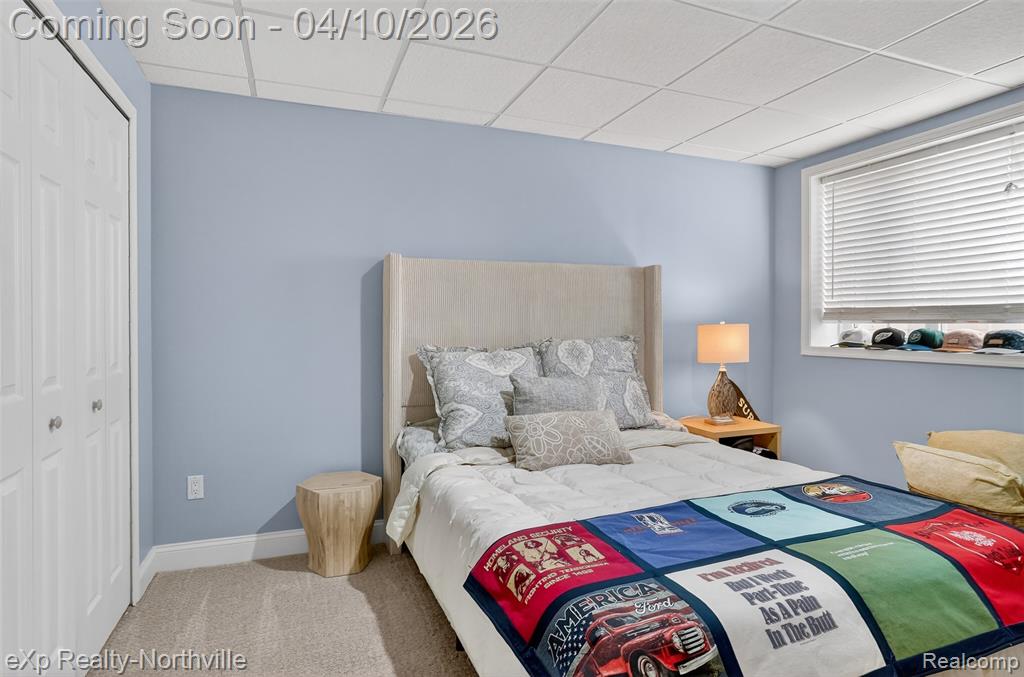 44927 Broadmoor Circle S, Northville, MI 48168 — Photo 61