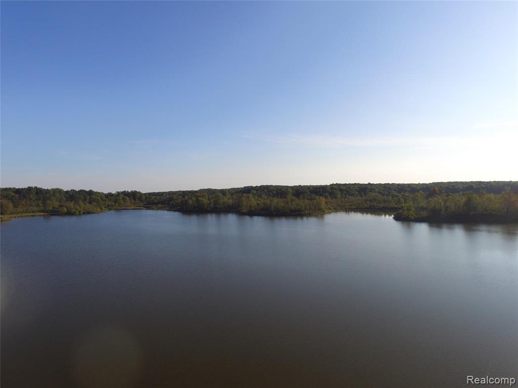 18575 Williamsville Road, Gregory, MI 48137 — Photo 25