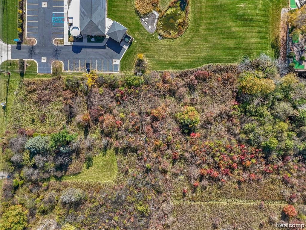 Vacant Land Allen Road, Brownstown, MI 48183 — Photo 12