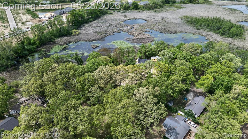 3980 Ben Hur Drive, Brighton, MI 48114 — Photo 34