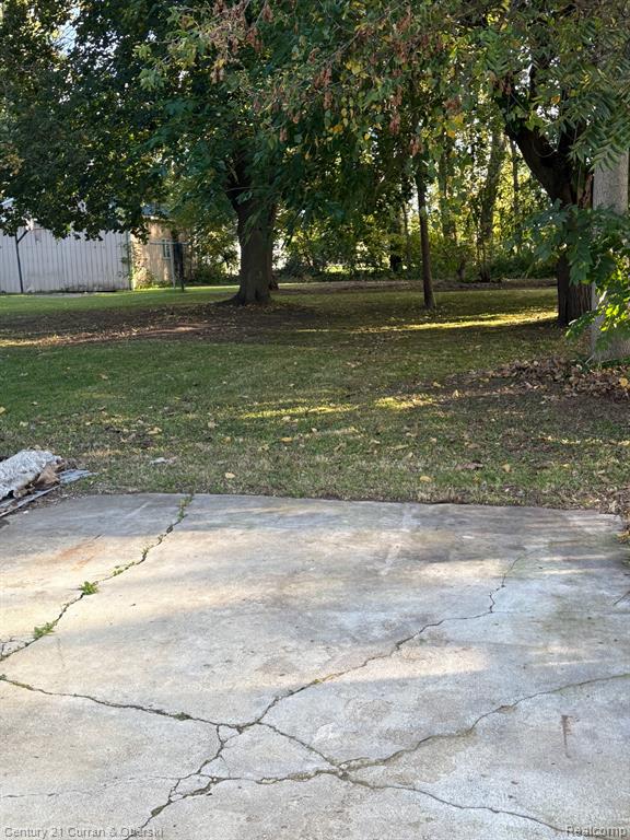 221 Saginaw Street, Beaverton, MI 48612 — Photo 11