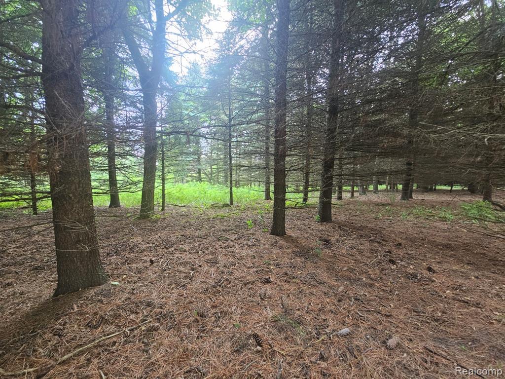 VL Millville Road, Lapeer, MI 48446 — Photo 6