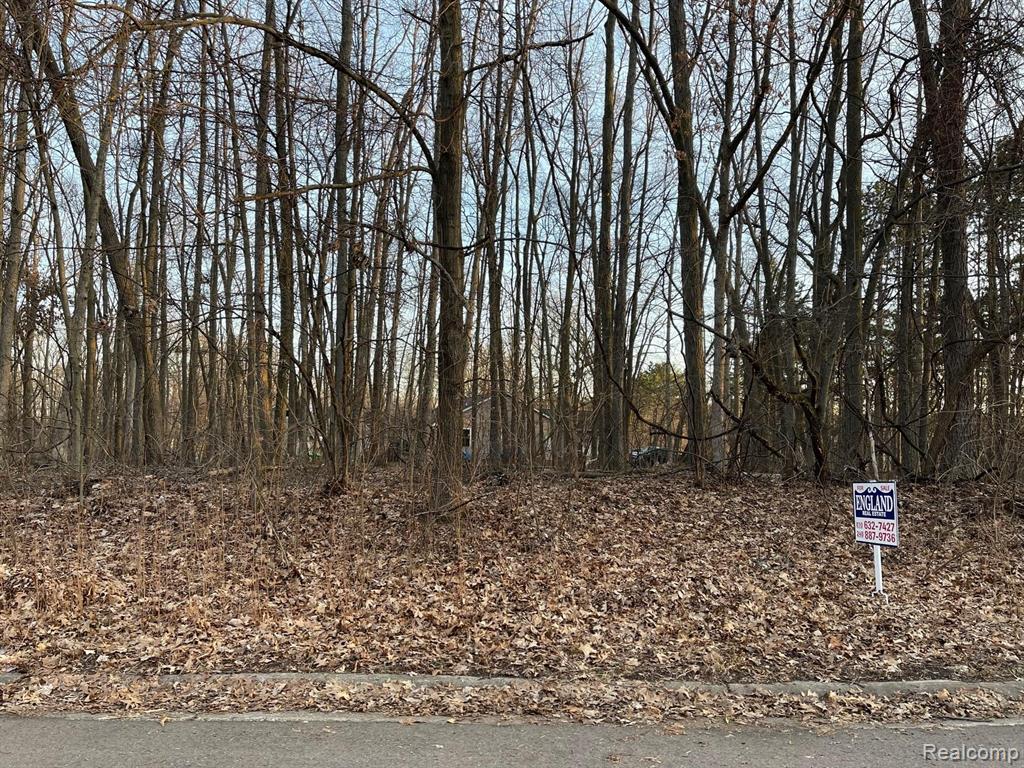 9127 Pineview Lake, Linden, MI 48451 — Photo 4