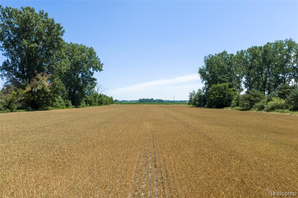 Parcel A Dodge Rd, Cass City, MI 48726 — front exterior