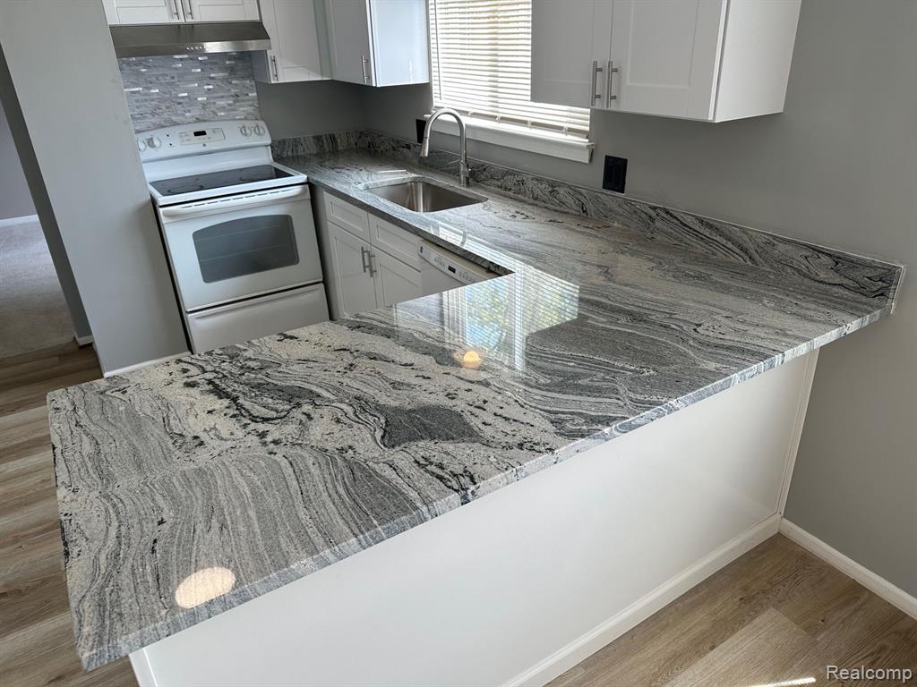 45851 CIDER MILL Road, Novi, MI — Photo 11