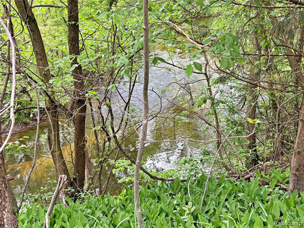 2801 Lackie Road, Filion, MI 48432 — Photo 19