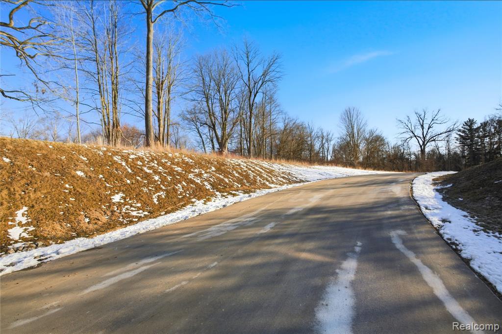 4035 Metamora Ridge Road, Metamora, MI 48455 — Photo 16