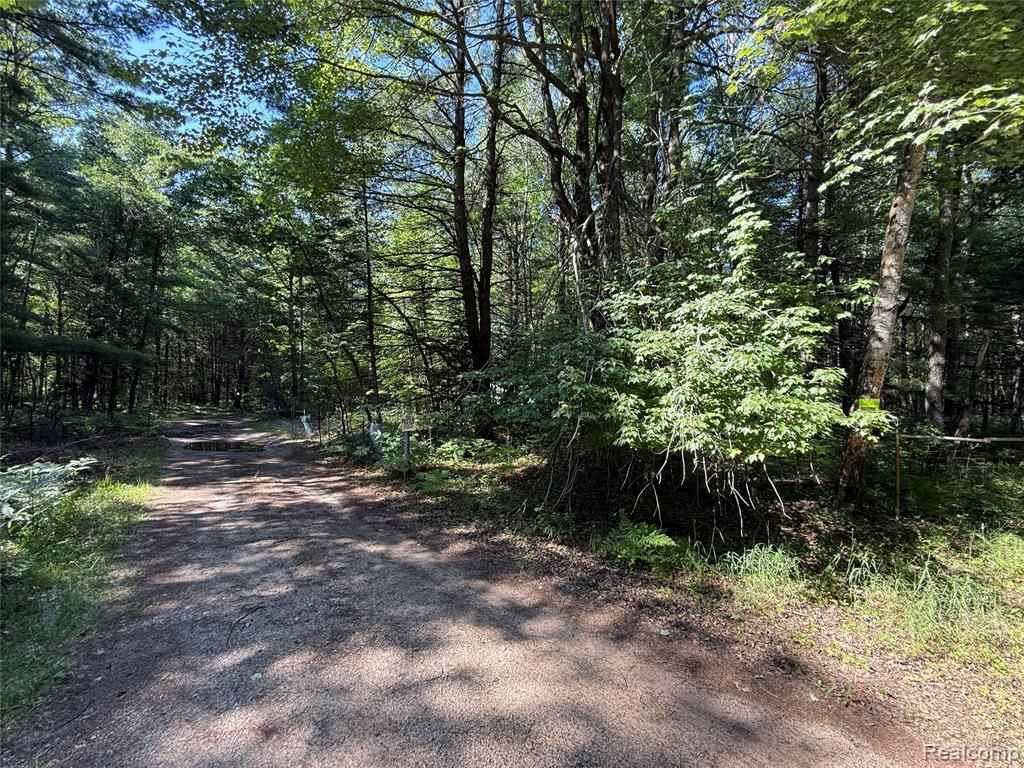 1501 Michael Drive, Alger, MI 48610 — Photo 12