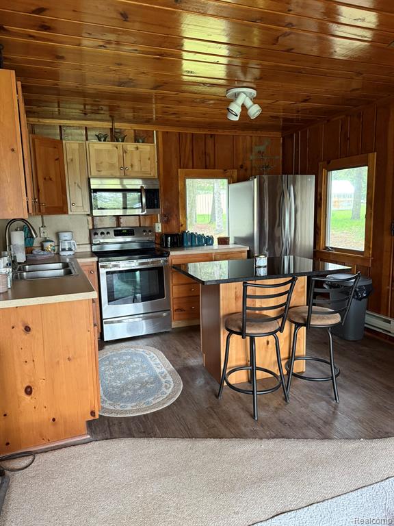 4348 N Shrew Road, Lincoln, MI 48742 — Photo 17