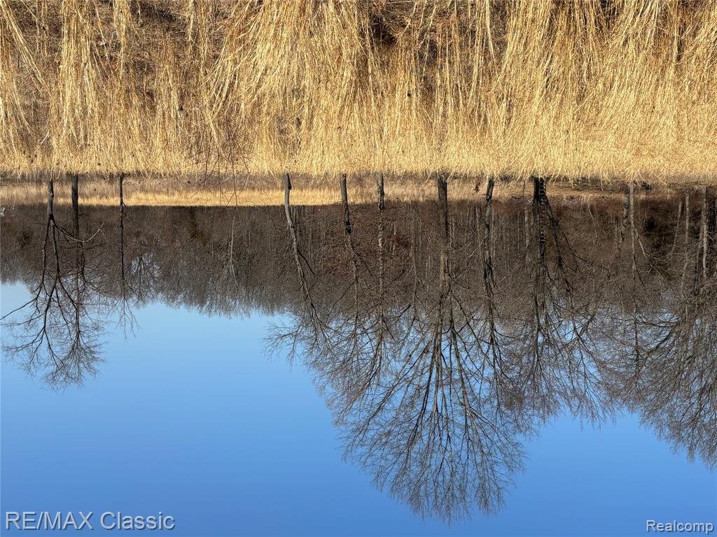 9470 Dinser Lane, Whitmore Lake, MI 48189 — Photo 2
