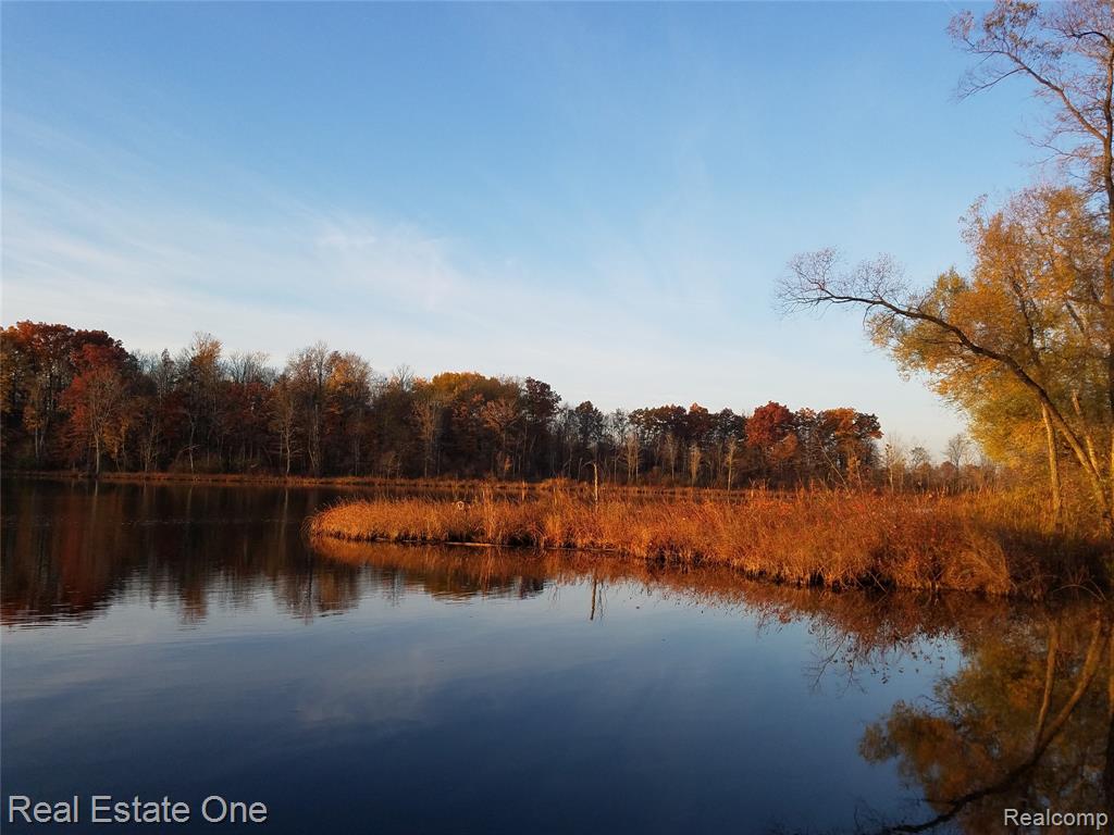 4047 Sunfish Drive, Lapeer, MI 48446 — Photo 5