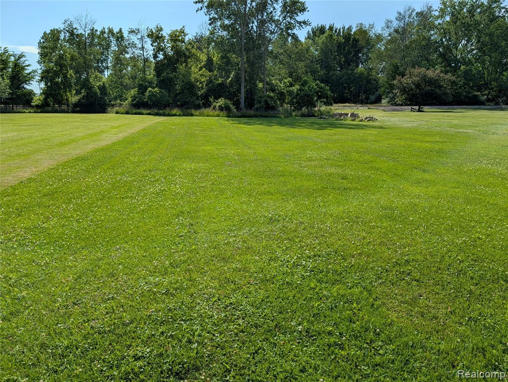 343 S Silver Street, Bad Axe, MI 48413 — Photo 9