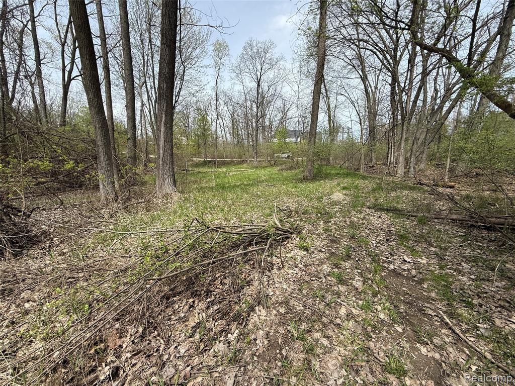 Lot 66 Preserve Drive, Fenton, MI 48430 — Photo 4