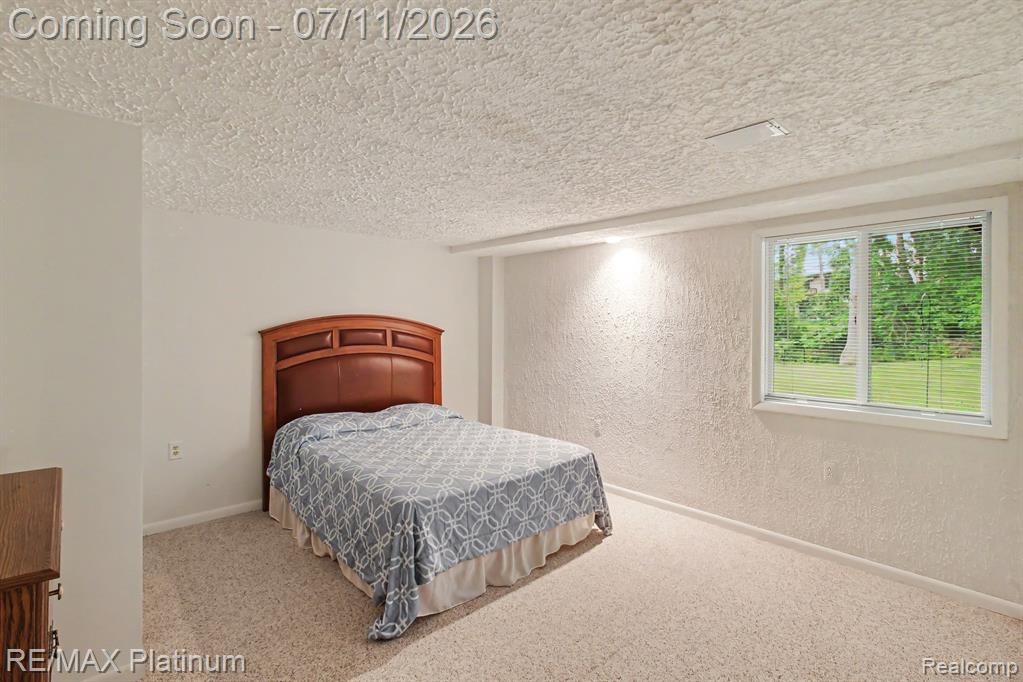 6311 Kevin Drive, Brighton, MI 48116 — Photo 12