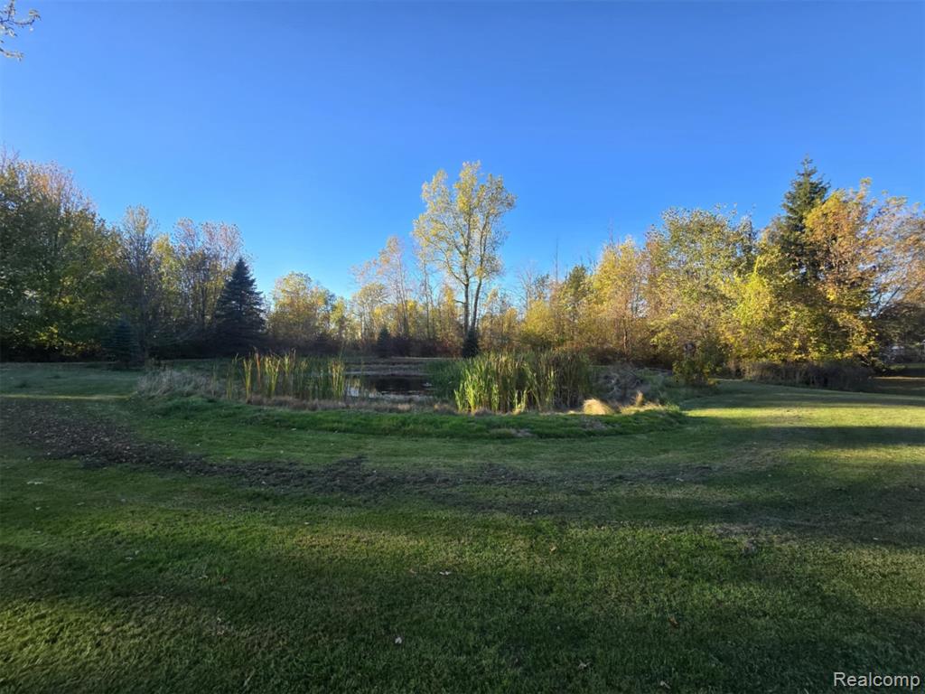 7896 Sanilac Avenue, Worth, MI 48450 — Photo 4