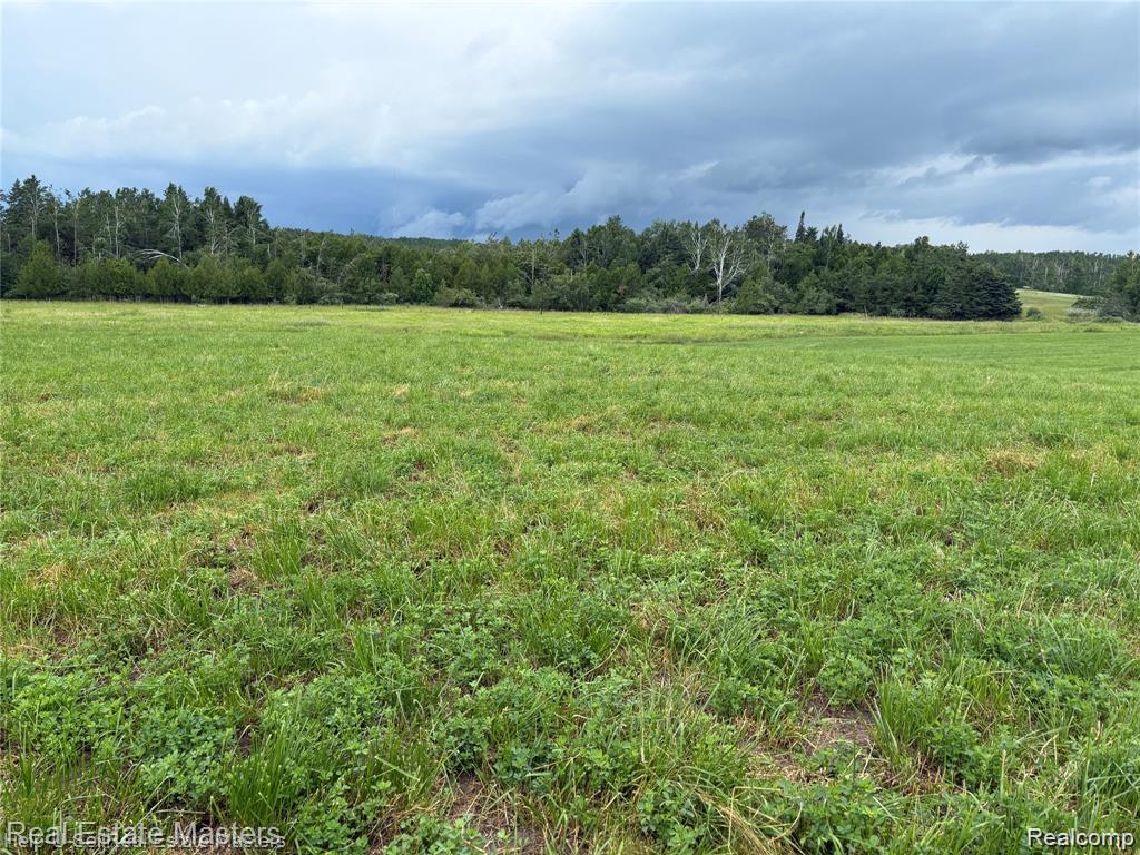 300 W Hubert Road, Spruce, MI — Photo 3