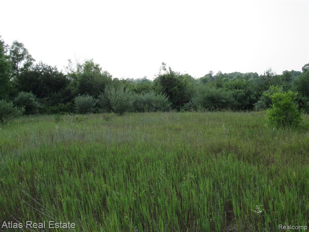 78 W BARNES Road, Fostoria, MI 48435 — Photo 46