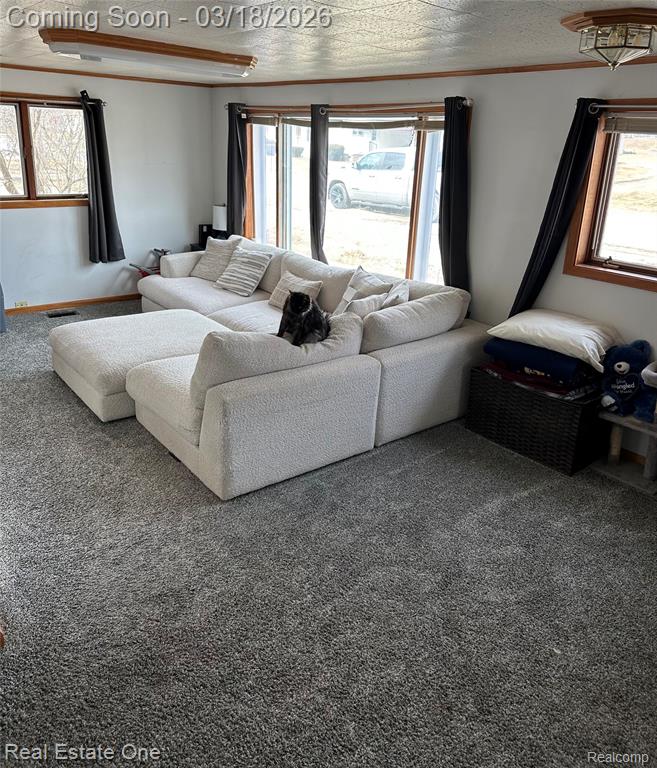 200 S Hayes Street, Farwell, MI 48622 — Photo 19
