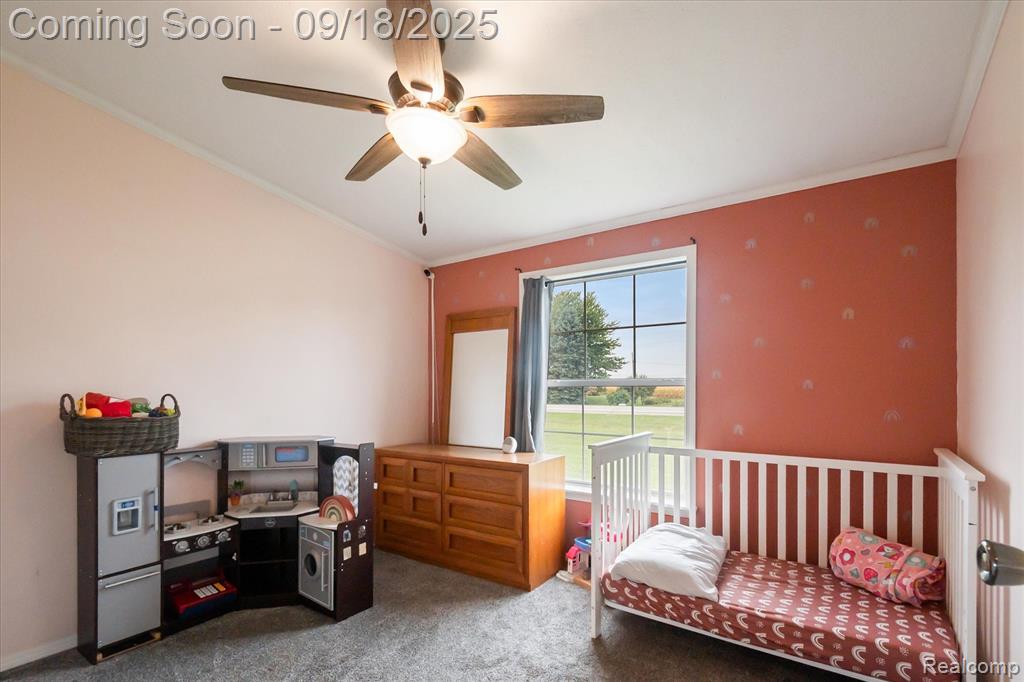 6095 Caro Road, Vassar, MI 48768 — Photo 21