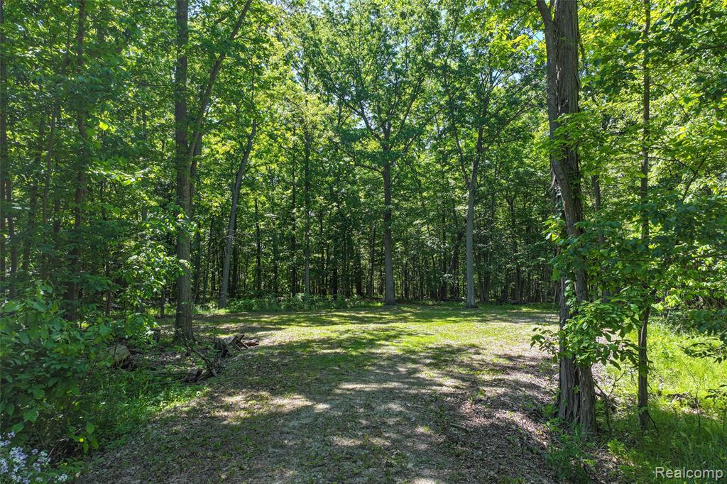 3075 Crandall Road, Howell, MI 48855 — Photo 14
