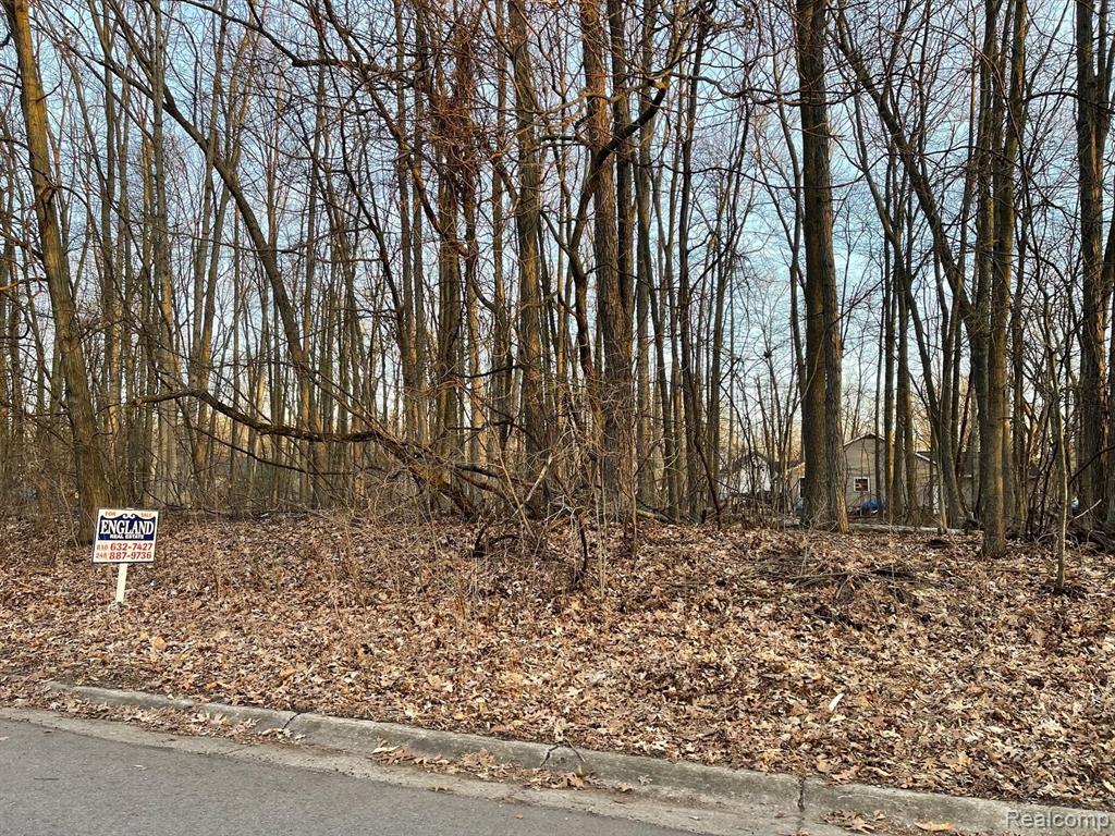 9127 Pineview Lake, Linden, MI 48451 — Photo 3