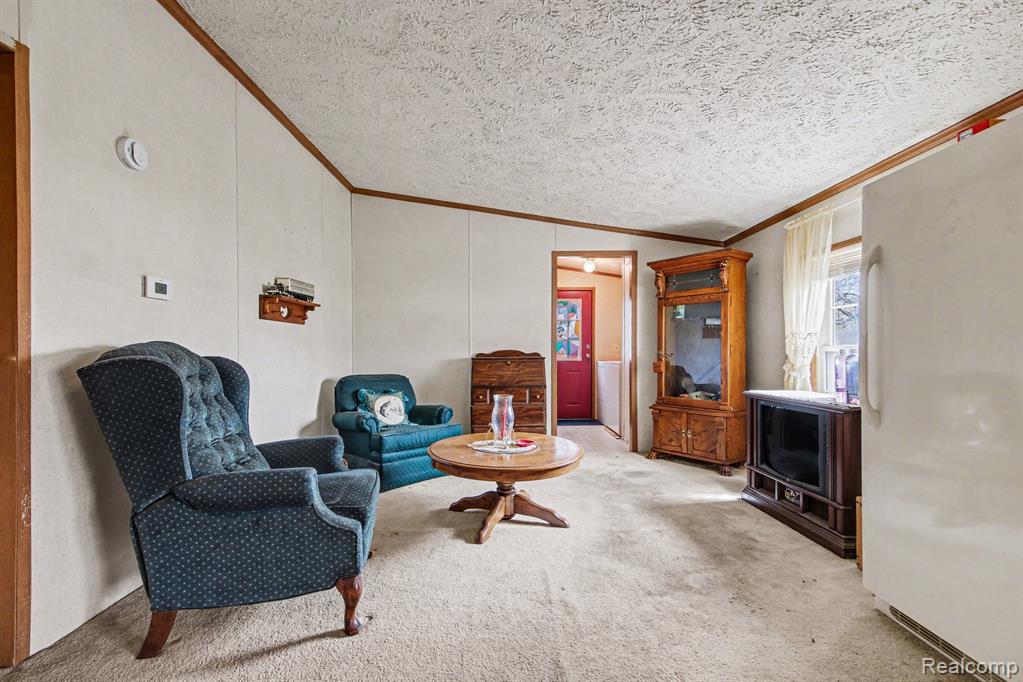 7689 Sidney Road, Greenville, MI 48838 — Photo 12