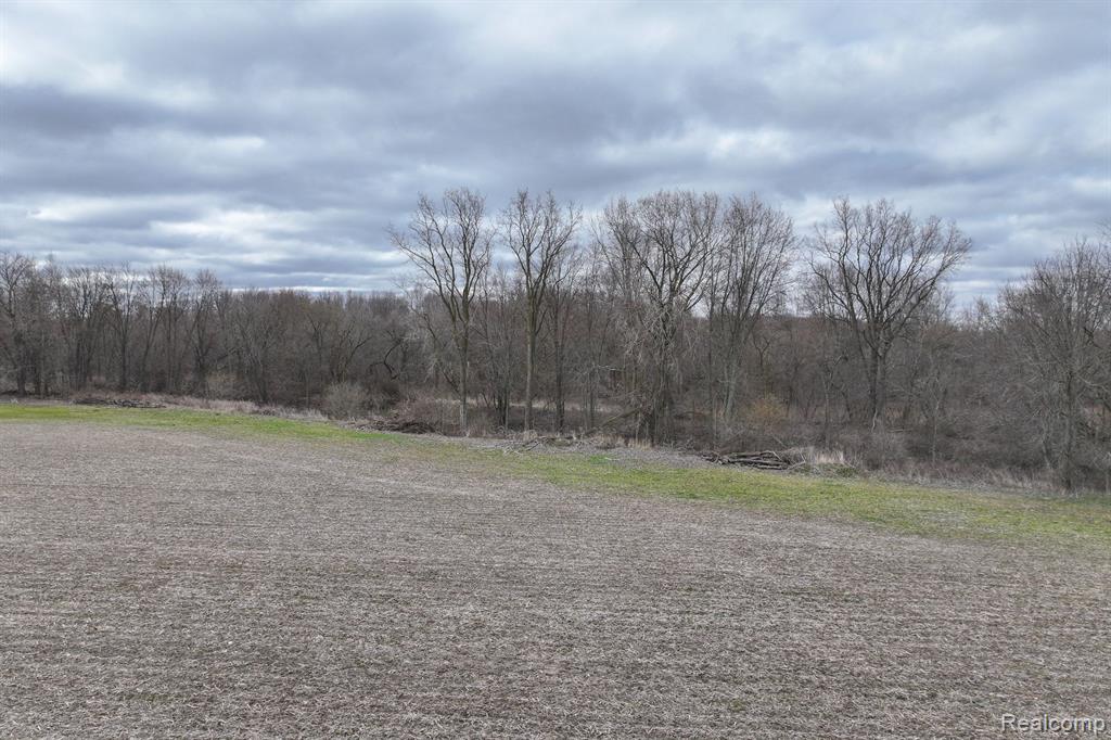 VL 28.4 Acres Goodall Road, Durand, MI 48429 — Photo 5
