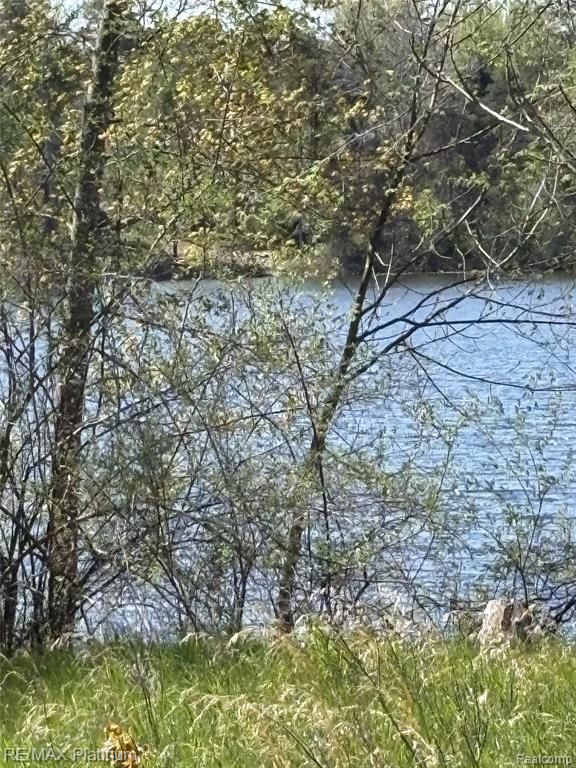 Parcel 1 Edgemont Drive, Howell, MI 48855 — Photo 19