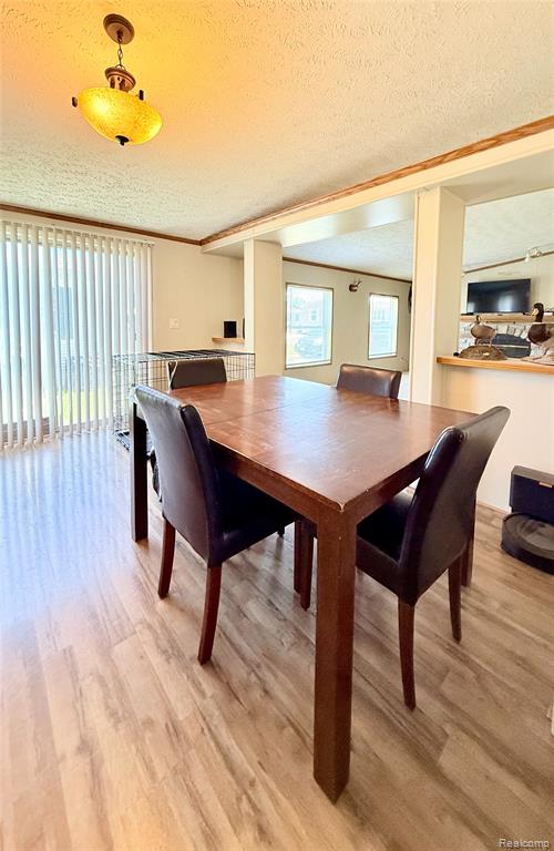 293 Westfield Drive, Erie, MI — Photo 4