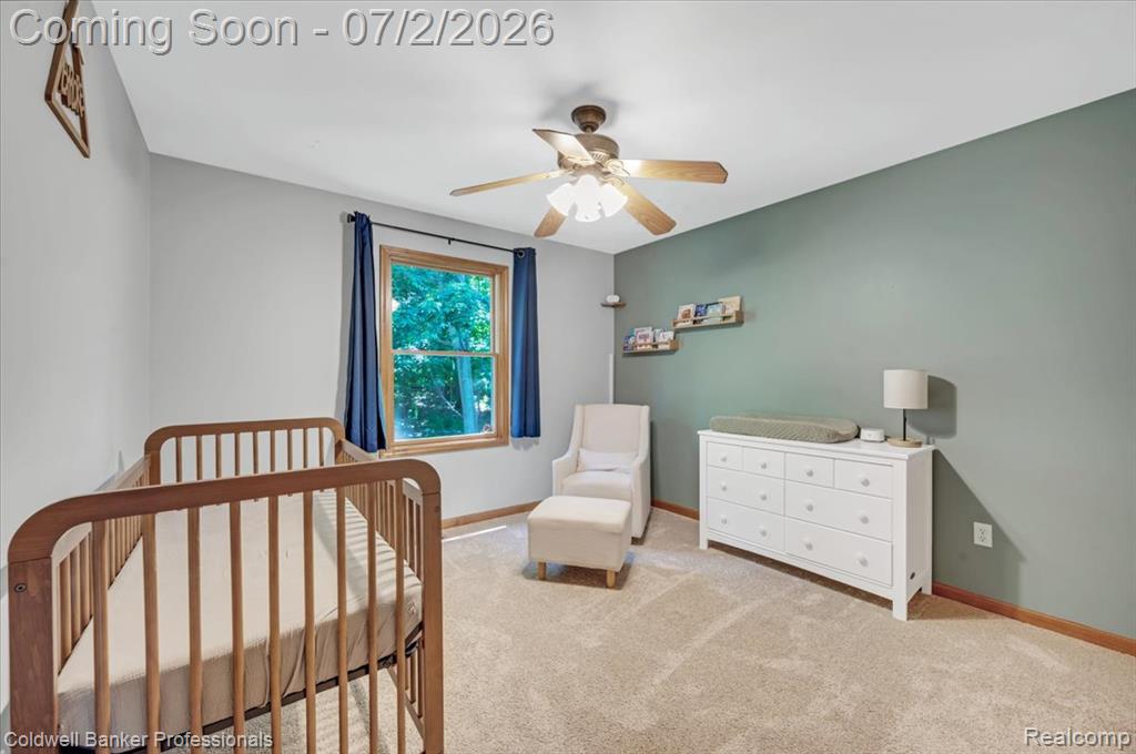8224 Petz Road, Imlay City, MI 48444 — Photo 19
