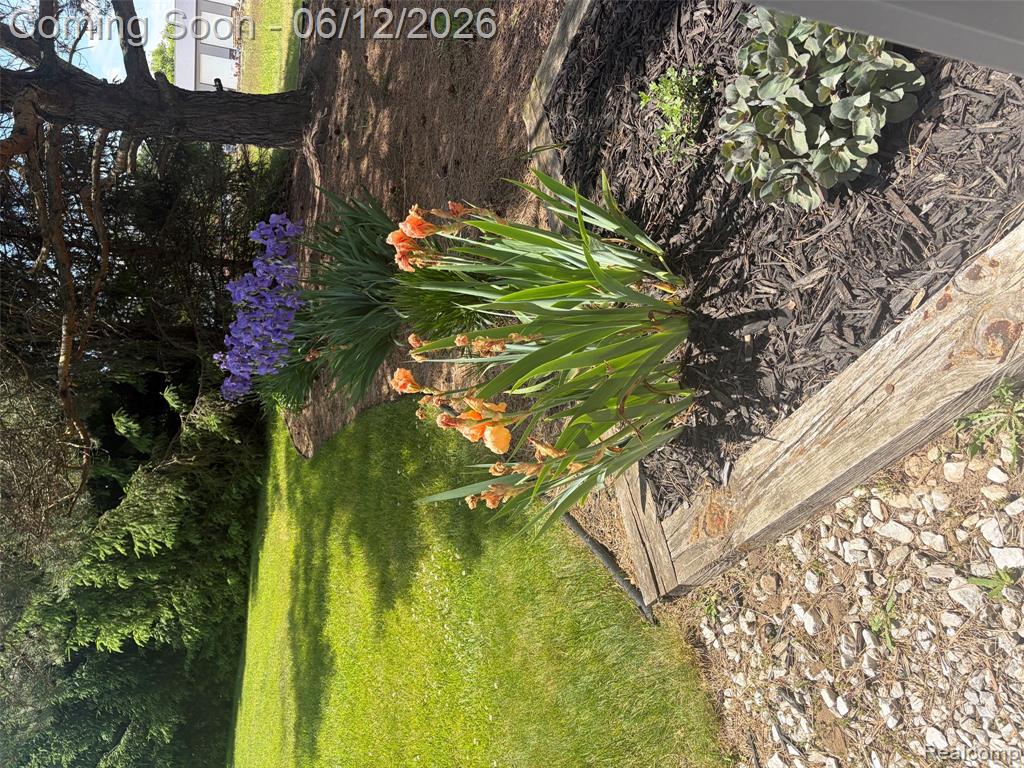 10186 Converse Road, Fowlerville, MI 48836 — Photo 31