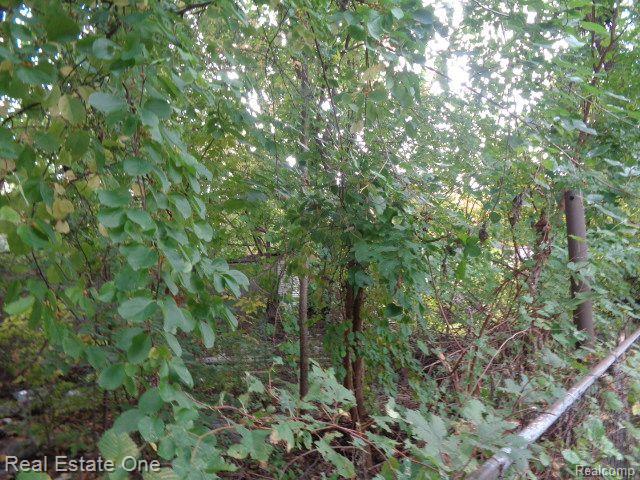 2971 SEYBURN Street - Photo 5