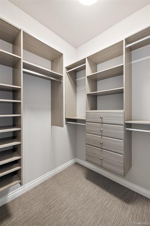 11374 Langfeld Spur, Brighton, MI, 48116