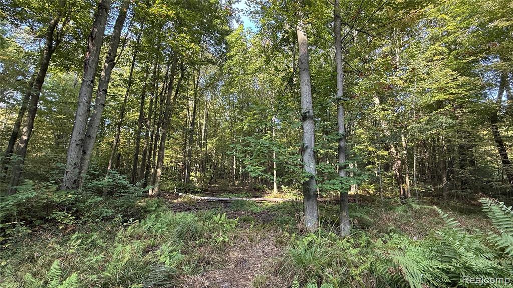 V/L McLain McLain Road, Clyde, MI 48049 — Photo 14