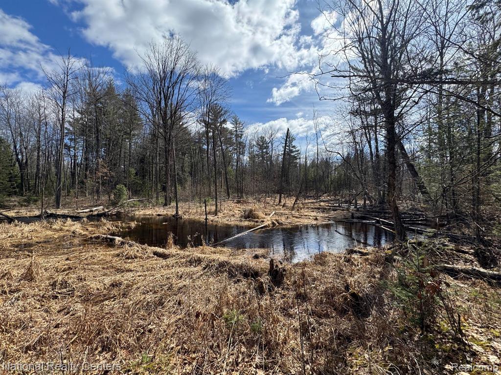 4233 Hardacre Trail, Houghton Lake, MI 48629 — Photo 2