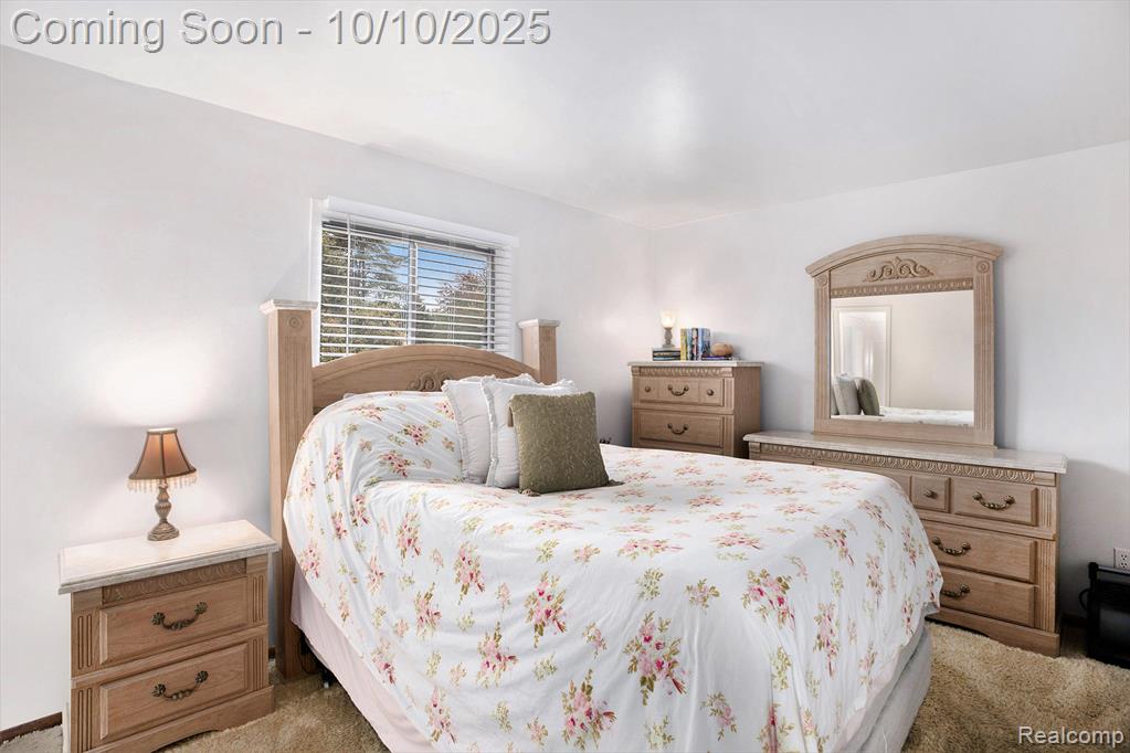 2933 Bullard Road, Hartland, MI 48353 — Photo 13