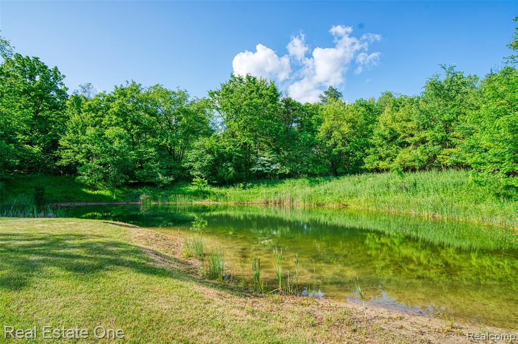 15060 Van Syckle Court, Gregory, MI 48137 — Photo 33