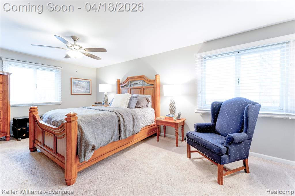 42730 Steepleview Street, Northville, MI 48168 — Photo 28