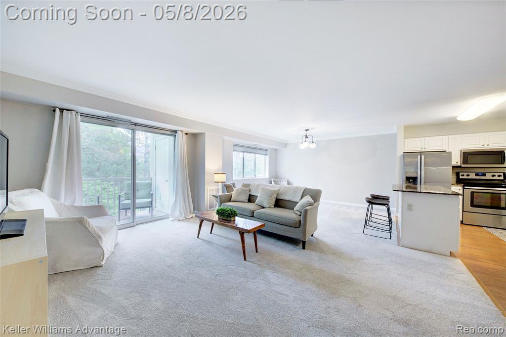 770 Deer Street, 302, Plymouth, MI 48170 — Photo 15