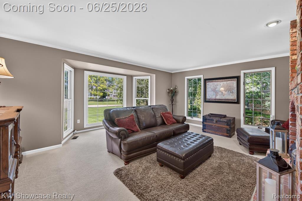 11073 Sandy Creek Drive, South Lyon, MI 48178 — Photo 8