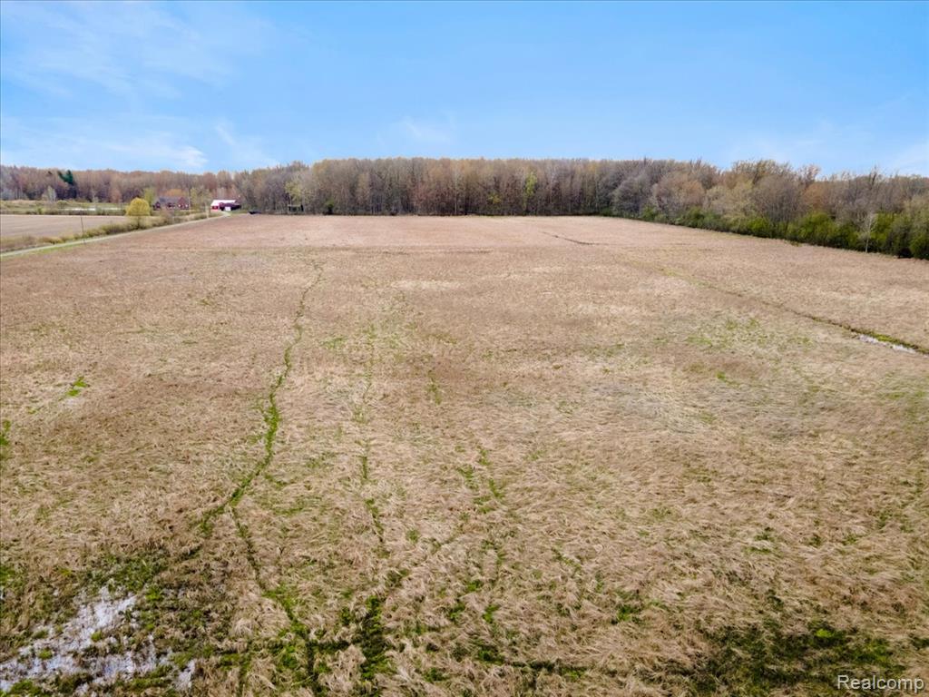 VL CRIBBINS Road, Greenwood, MI 48006 — Photo 2