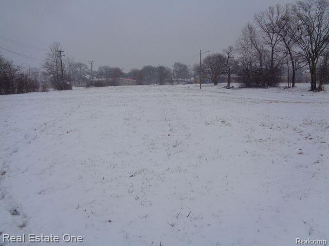2736 ROCHESTER Street, Detroit, MI 48206 — Photo 12