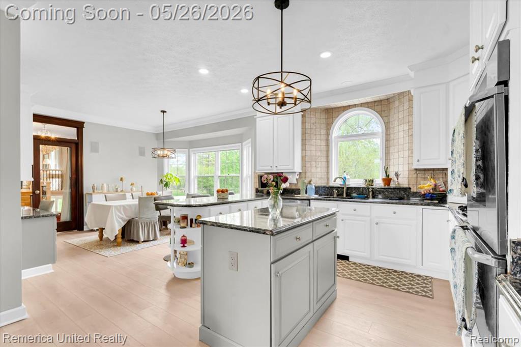 9422 Deer Creek Court, Brighton, MI 48114 — Photo 4