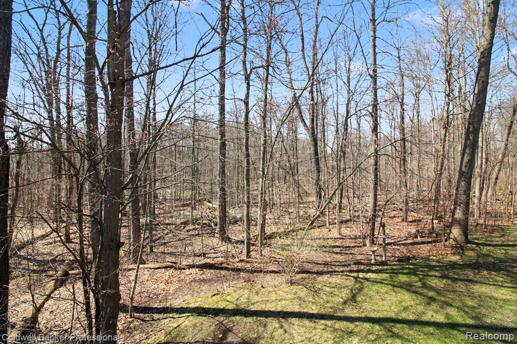 252 Stratford Lane, Lake Orion, MI — Photo 11