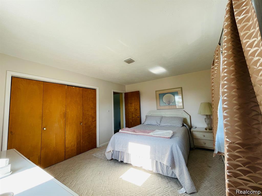 11424 W Corunna Road, Lennon Vlg, MI 48449 — Photo 9