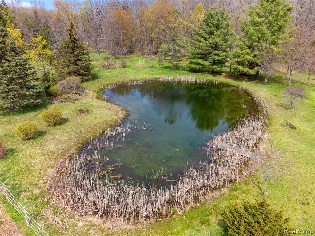 4425 Bethuy Road, Casco, MI 48064 — Photo 61