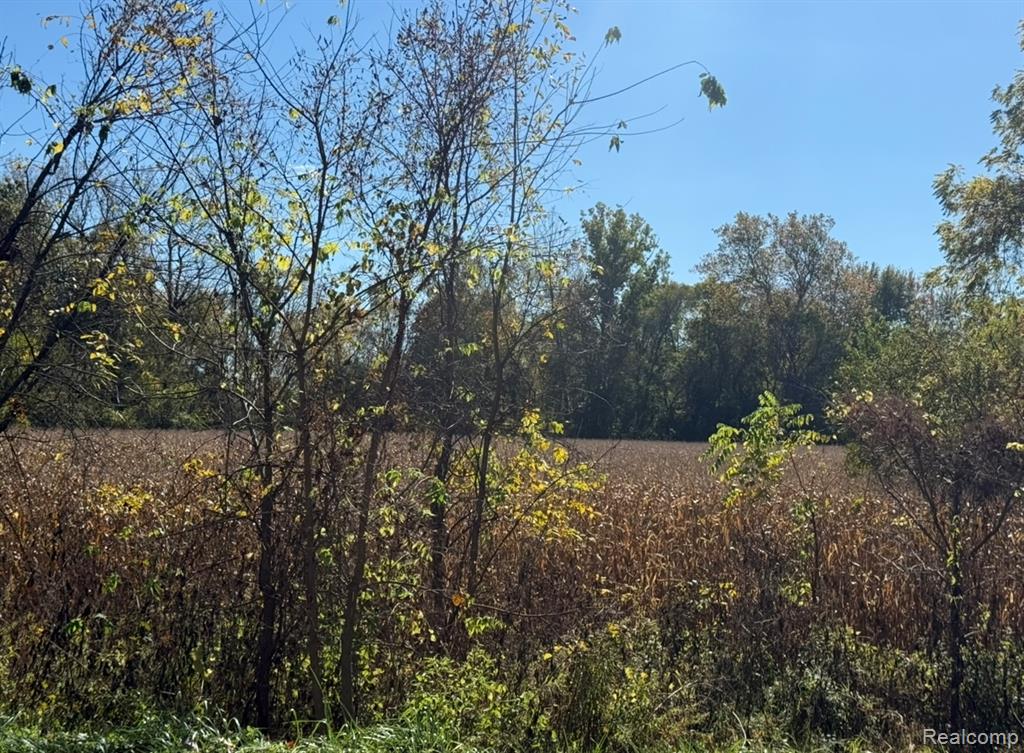 Townsend Townsend Road, Maybee, MI — Photo 2