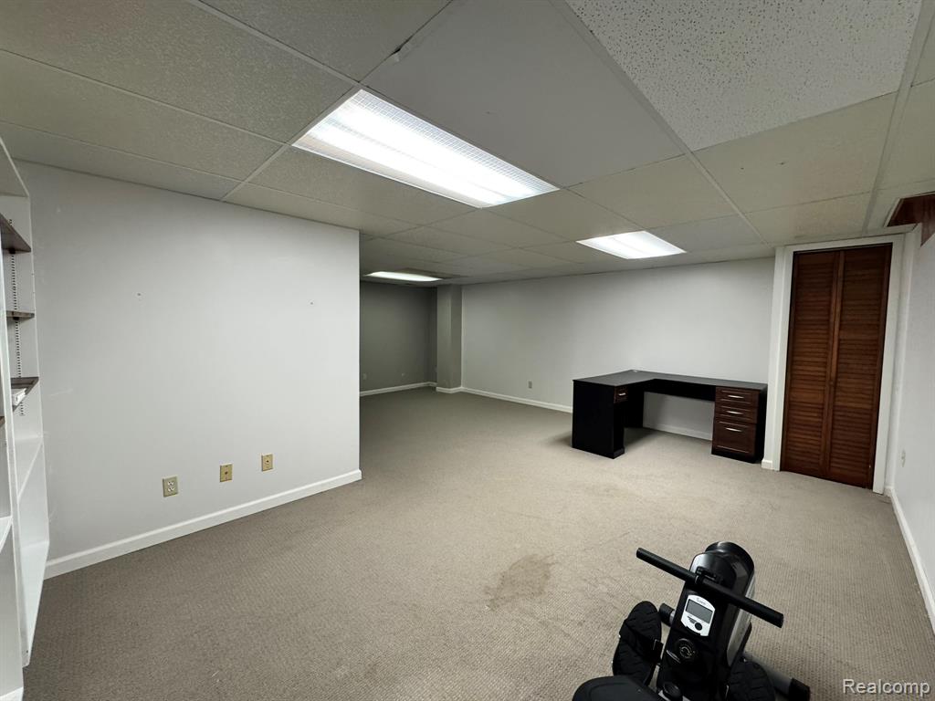 3224 Alpine Drive, Ann Arbor, MI 48108 — Photo 23