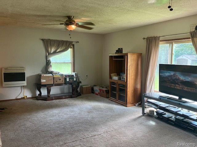 8084 JORDAN Road, Yale, MI 48097 — Photo 10